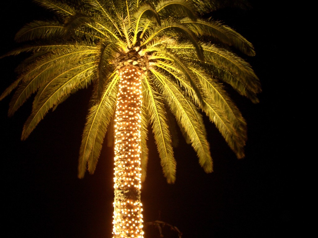 Miami Christmas